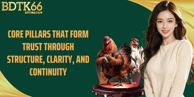 core-pillars-that-form-trust-through-structure-clarity-and-continuity