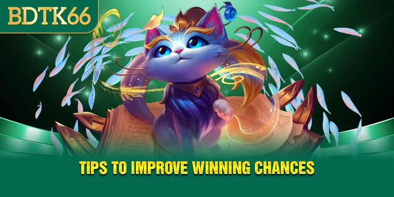 Tips to improve winning chances